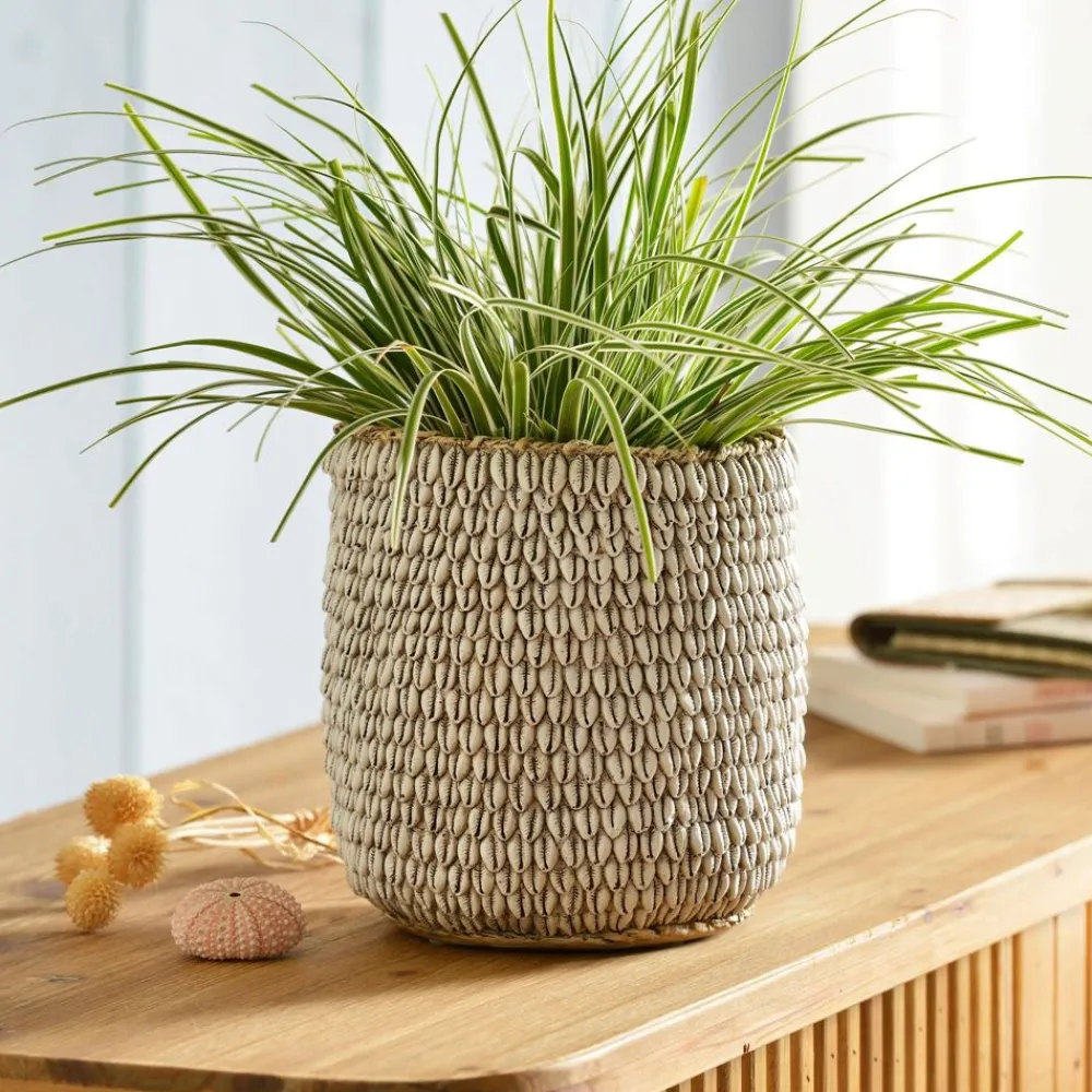 Becquet Cache-pot décor coquillages en résine< Vase, Cache-Pot|Décoration