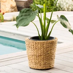 Becquet Cache-pot en jacinthe d'eau< Vase, Cache-Pot|Décoration
