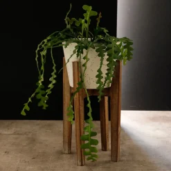 Becquet Cache-pots sur pieds< Vase, Cache-Pot|Décoration