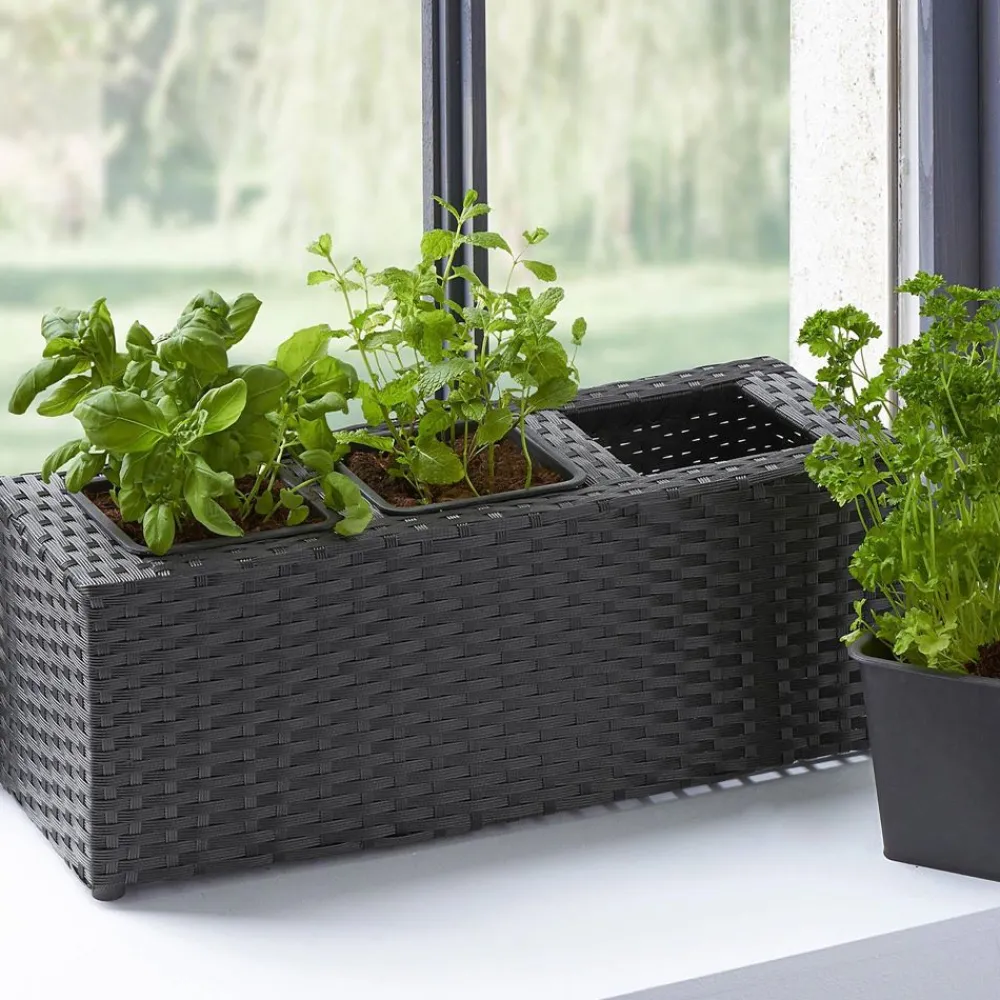 Becquet Jardinière pour herbes aromatiques< Vase, Cache-Pot|Décoration