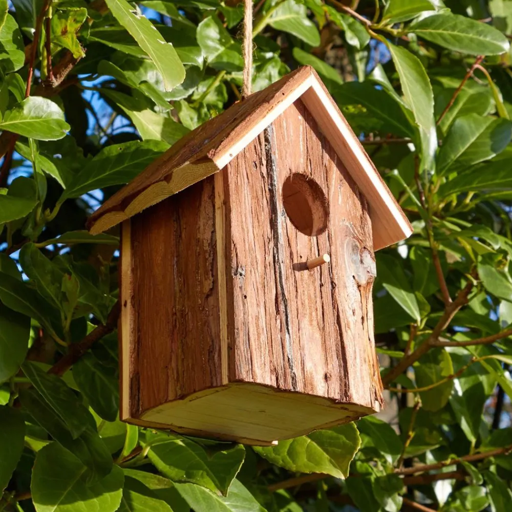 Becquet Nichoir à oiseaux en bois< Entretien De La Maison