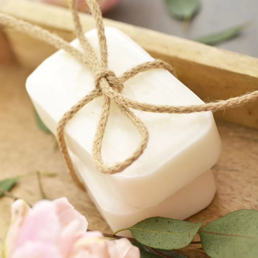 Becquet Savons au lait d'ânesse bio Savonnerie de Bormes - lot de 2< Beauté, Bien-Être|Beauté, Bien-Être