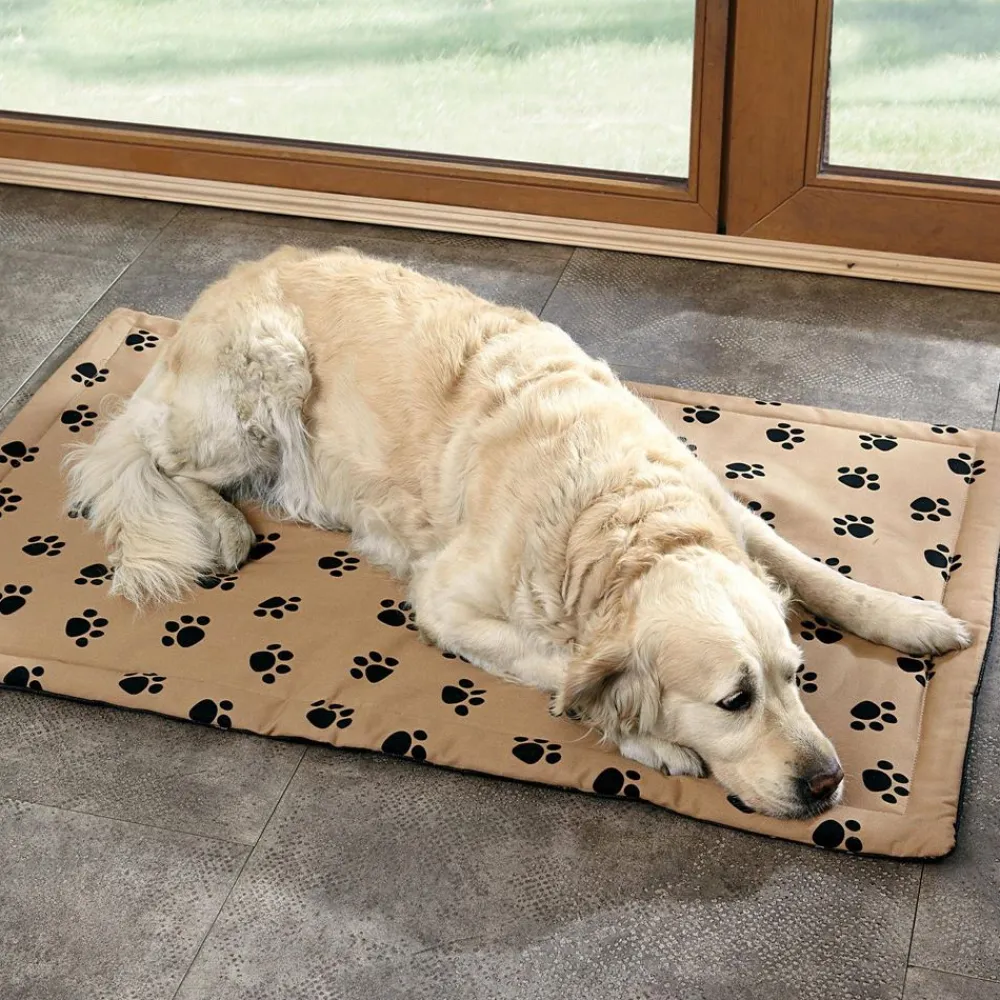 Becquet Tapis antipoils pour chat et chien< Panier, Tapis, Gamelle Pour Chiens Et Chats