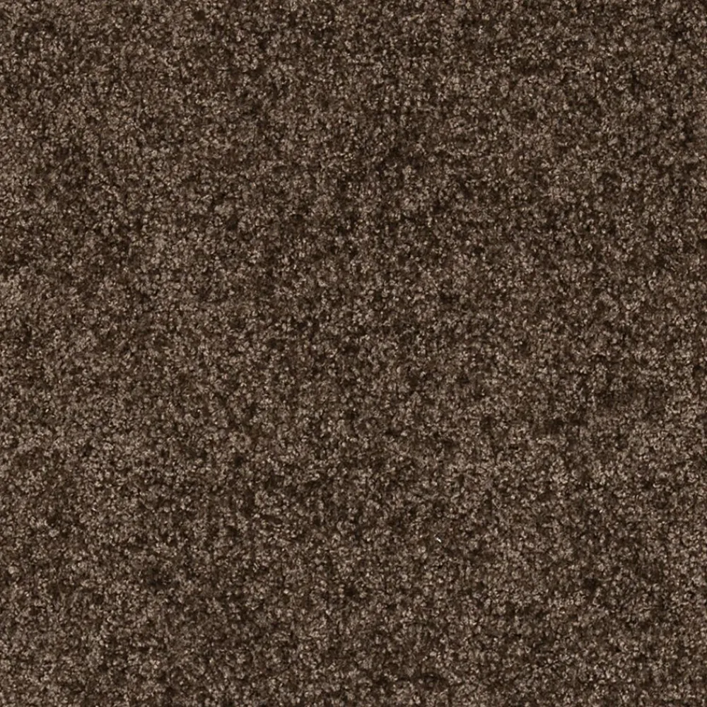 Becquet Tapis d'entrée absorbant coloré< Tapis D'Entrée, Tapis De Cuisine