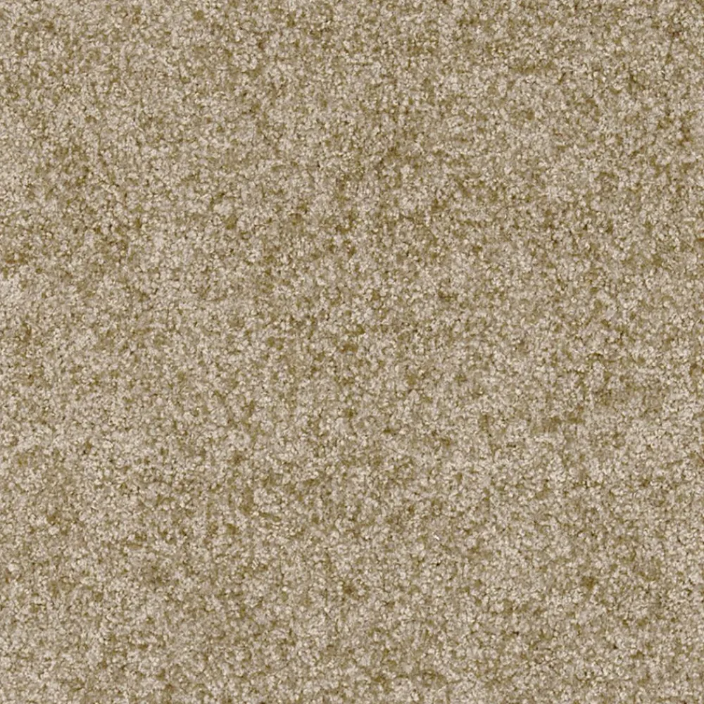 Becquet Tapis d'entrée absorbant coloré< Tapis D'Entrée, Tapis De Cuisine