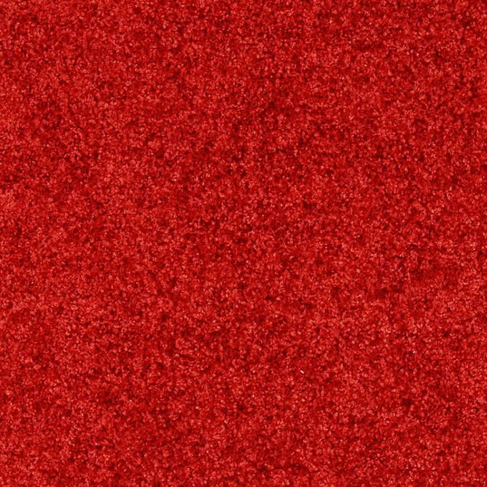 Becquet Tapis d'entrée absorbant coloré< Tapis D'Entrée, Tapis De Cuisine
